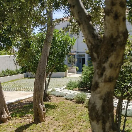 Grand 1930s Mansion In Chania Old Town With Garden Villa La Canea